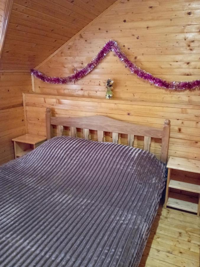 Holiday Home Melodiya Karpat Yaremtche Extérieur photo