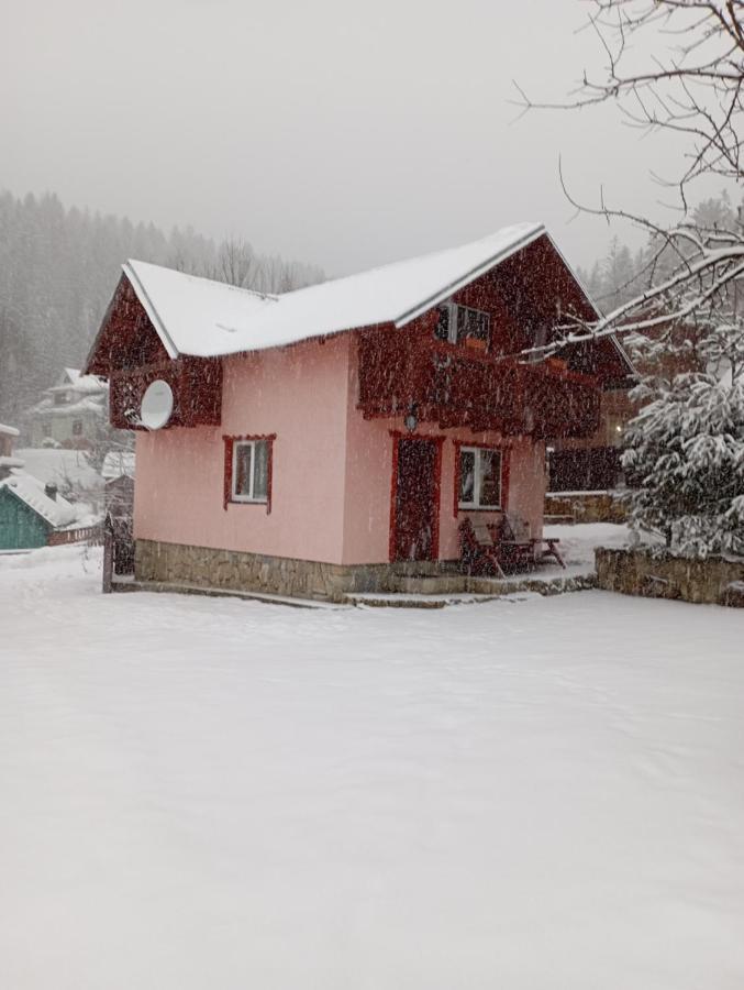 Holiday Home Melodiya Karpat Yaremtche Extérieur photo