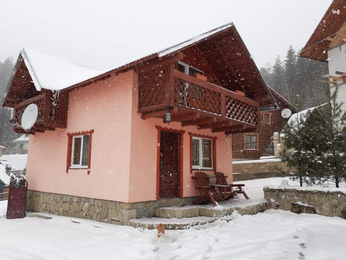 Holiday Home Melodiya Karpat Yaremtche Extérieur photo