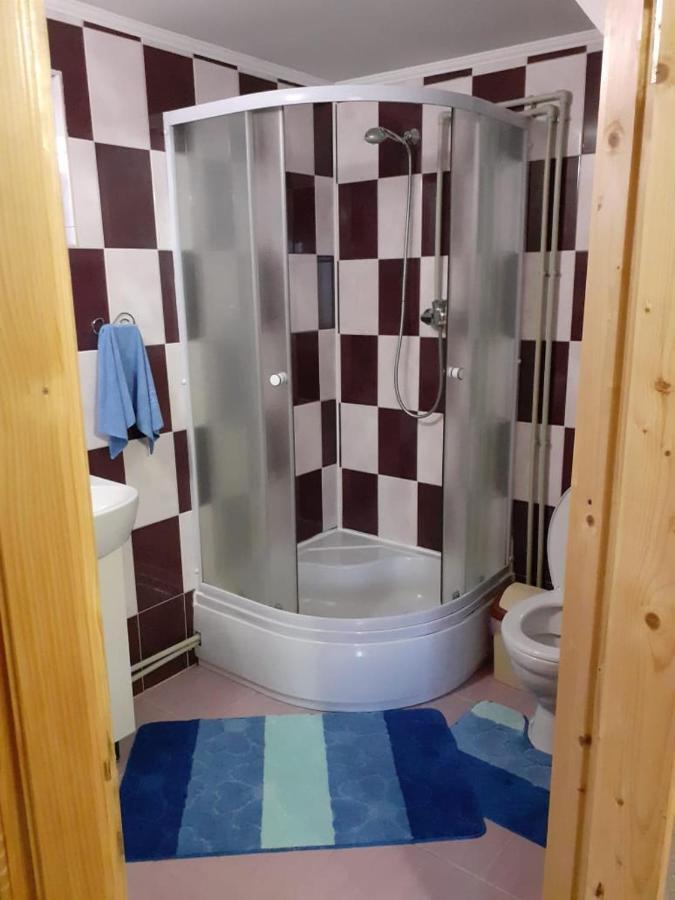 Holiday Home Melodiya Karpat Yaremtche Extérieur photo